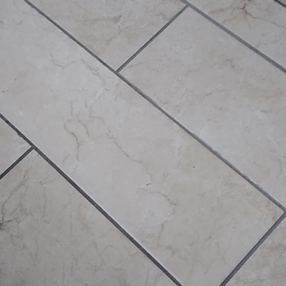 Meet your Posher, Shilo